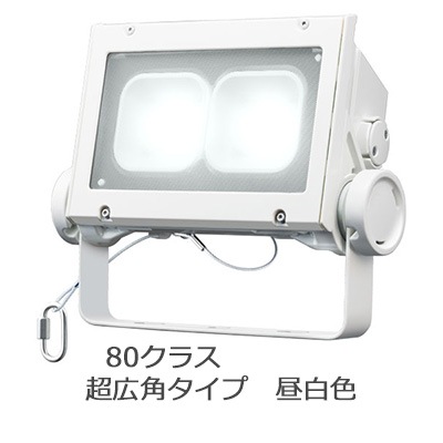 ECF8040SW/NSAN8/W || LED投光器 岩崎電気 レディオックフラッド