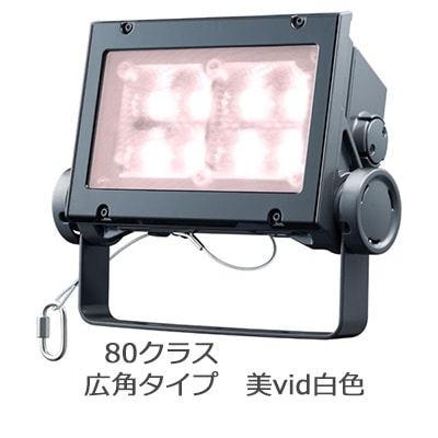 ECF8040W/VWSAN8/DG || LED投光器 岩崎電気 レディオックフラッドネオ 