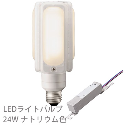 LDTS24L-G/721A + LE029045HSZ1/2.4-A2 || LEDランプ+電源セット 岩崎