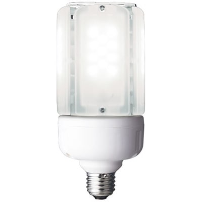LDT100-242V28N-G/H100 || LEDランプ 岩崎電気 LEDioc LEDライトバルブ