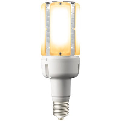 LDT100-242V53L-G-E39/L || LEDランプ 岩崎電気 LEDioc LED