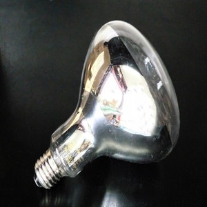 RF110V135WH || 白熱電球 岩崎電気(IWASAKI) 屋外投光用アイランプ