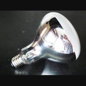 RF110V180WH || 白熱電球 岩崎電気(IWASAKI) 屋外投光用アイランプ