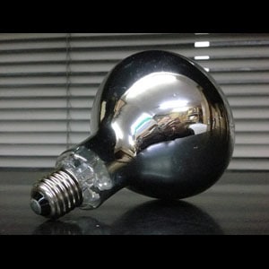 RF220V180WH || 白熱電球 岩崎電気(IWASAKI) 屋外投光用アイランプ