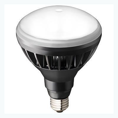 LDR11N-H/B850A || LEDioc LEDアイランプ 岩崎電気(IWASAKI) バラ