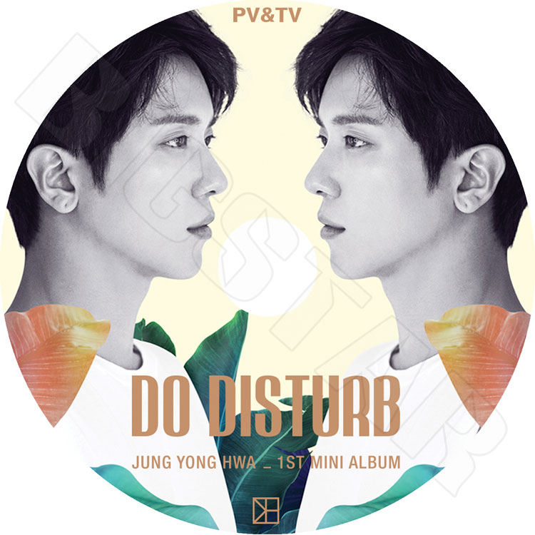 ��K-POP DVD�ۡ���JUNG YONG HWA 2017 PV&TV ���쥯�ȡ�That Girl One Fine Day Mileage Checkmate��CNBLUE Jung Youn Hwa �������ե� KPOP DVD��