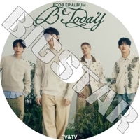 K-POP DVD BTOB BORN TO 5枚SET EP1-EP10 日本語字幕あり ビー