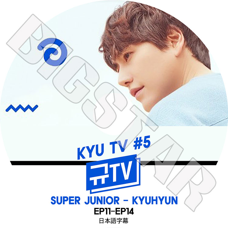 SUPER JUNIOR キュヒョン KYUHYUN ラブコントロール トレカ