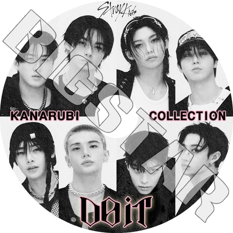  STRAY KIDS 2025 2nd ���ʥ��