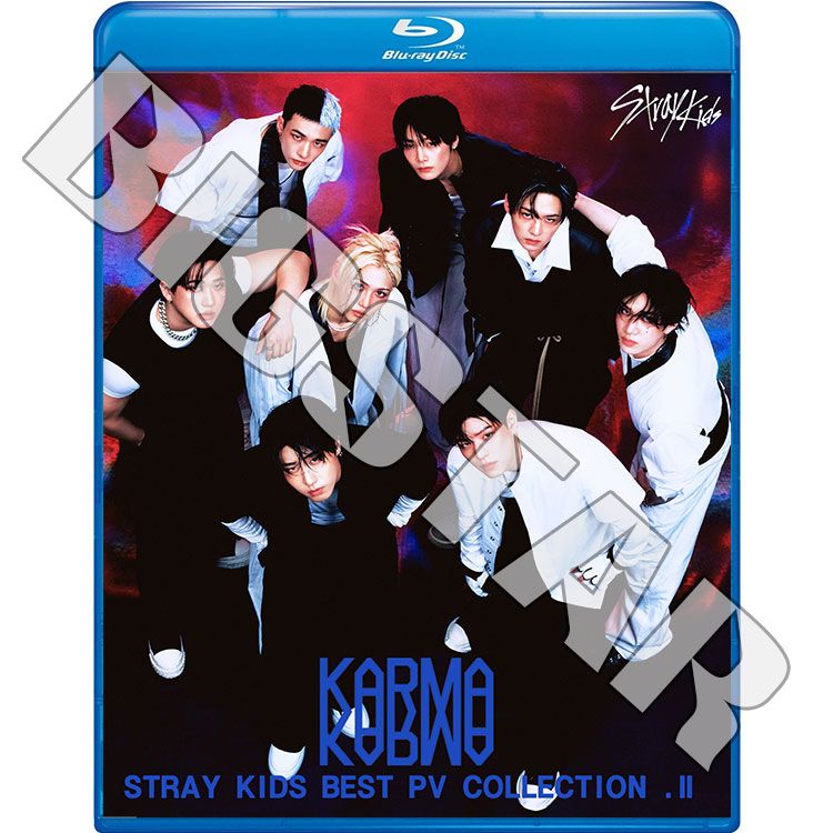 Blu-ray STRAY KIDS 2025 BEST PV #2 UNVEIL TRACK K-POP �֥롼�쥤 ���ȥ쥤���å�