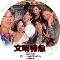 KARAのDVD2つセット DVD KARA 2nd JAPAN TOUR 2013 KARASIA(初回限定版/DVD2枚組)