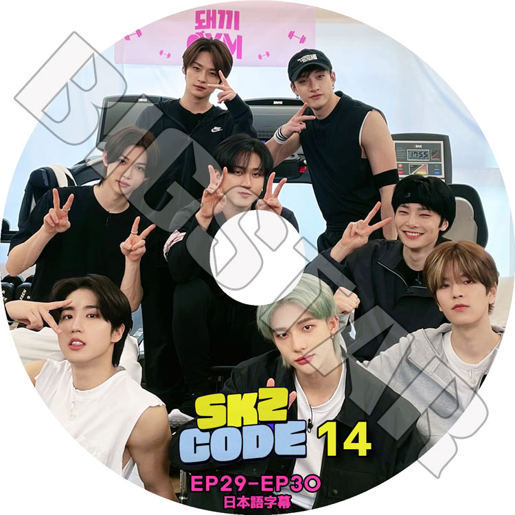 K-POP DVD STRAY KIDS SKZ CODE #14 EP29-EP30 日本語字幕あり Stray