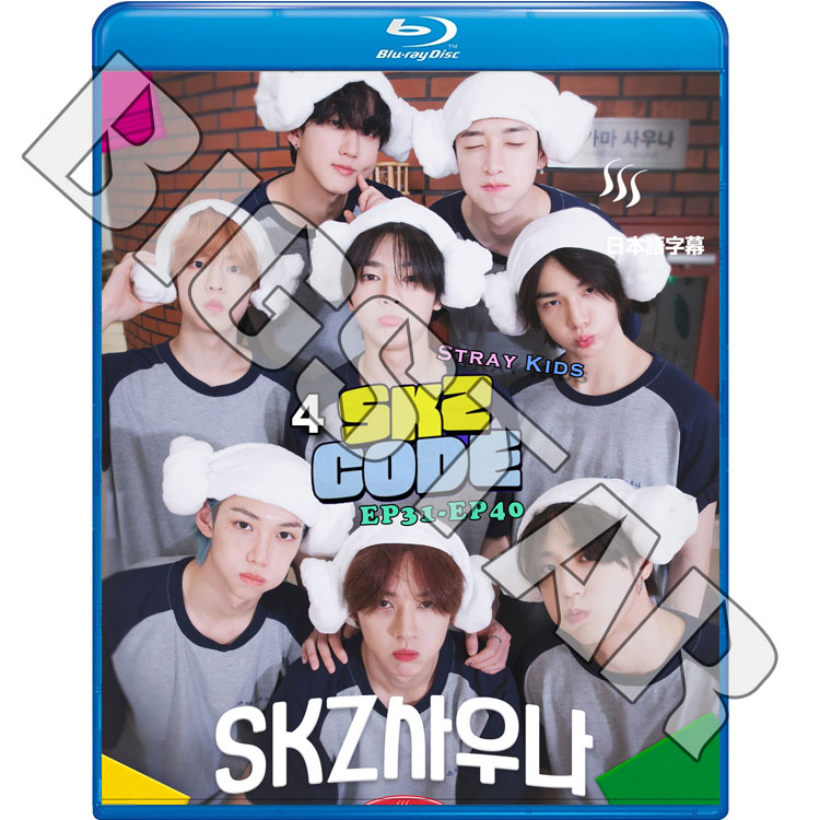 Blu-ray STRAY KIDS SKZ CODE #4 EP31-EP40 日本語字幕あり K-POP