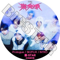 K-POP DVD STRAY KIDS INTRO ��-STAR ���ܸ���뤢�� Stray Kids ���ȥ쥤���å� STRAY KIDS KPOP DVD