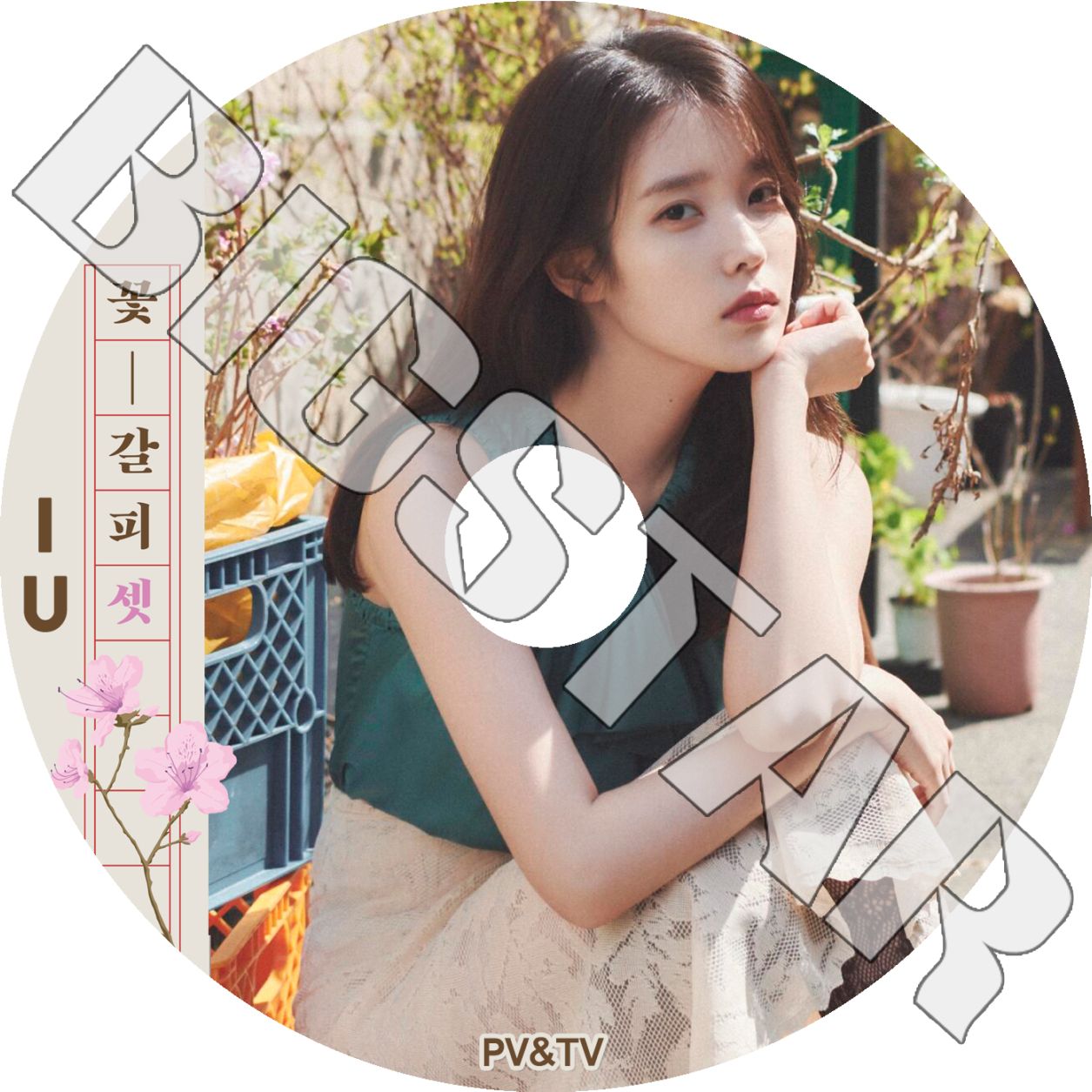K-POP DVD IU 2025 PV/TV Collection - Never Ending Story Shopper