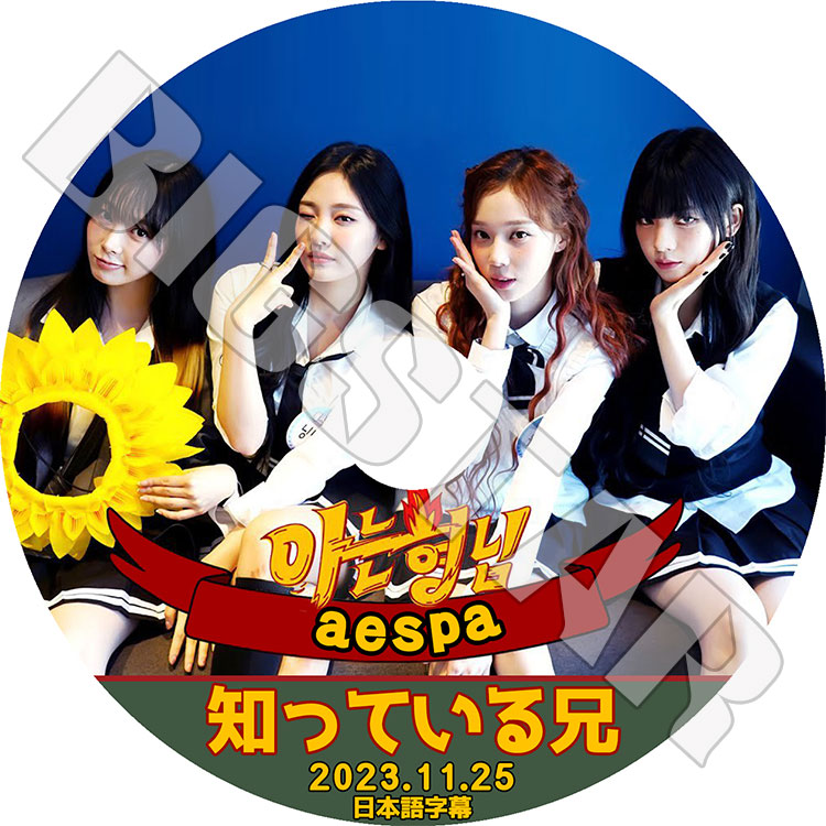 K-POP DVD aespa �ΤäƤ뷻���� 2023.11.25 ���ܸ���뤢�� aespa ������ ����� ������ �����󥿡� �˥�˥� aespa KPOP DVD