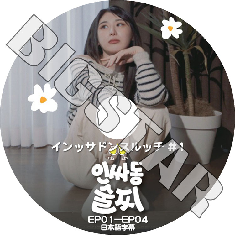 K-POP DVD インッサドンスルッチ #1 EP01-EP04 日本語字幕あり