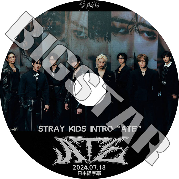 K-POP・アジア StrayKids 5STAR DVD K-POP DVD Stray Kids 2023 5-STAR Dome Tour 名古屋公演
