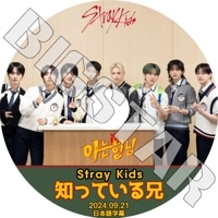 K-POP DVD STRAY KIDS ΤäƤ뷻 2024.09.21 ܸ뤢 Stray Kids ȥ쥤å ० Х ߥ ӥ եҥ󥸥 ϥ󥸥 եå ॹߥ 󥸥󥤥 ڹ KPOP DVD