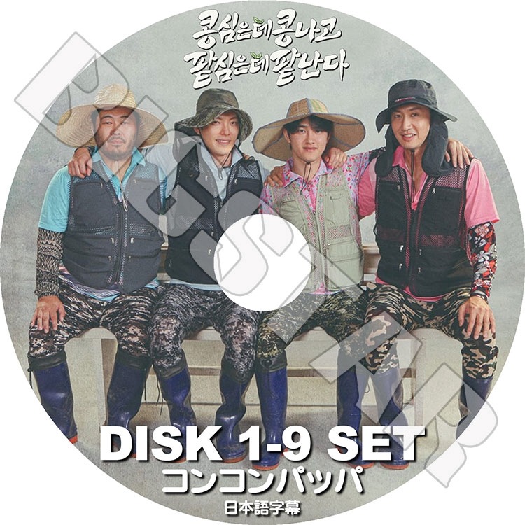 K-POP DVD コンコンパッパ 9枚SET 完 EXO D.O/ キムウビン出演 日本語