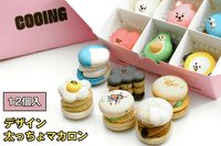 ڤץ쥼Ȥ˺Ŭ ڼ̿Ǥġ۴ڹ ޥ ȥ󥫥 äޥ  ե å 12 ͤ碌 ե ץ쥼  ˤ ֤  ͵   ̵  ¨Ǽ ȯ