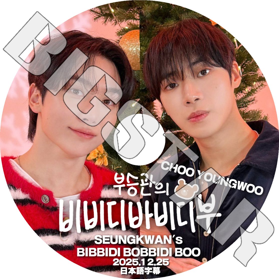 K-POP DVD SEVENTEEN SEUNGKWAN's BIBBIDI BOBBIDI BOO CHOO YOUNGWOO�� 2025.12.25 ���ܸ���뤢�� Seventeen ���֥�ƥ����� ���֥� SEUNGKWAN ���󥰥��� ������ KPOP DVD