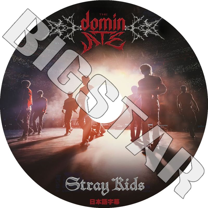 K-POP DVD STRAY KIDS THE DOMINATE EXPERIENCE 日本語字幕あり