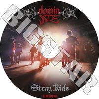 K-POP DVD STRAY KIDS THE DOMINATE EXPERIENCE ���ܸ���뤢�� ���ȥ쥤���å� �ڹ����� KPOP DVD