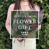 季節のおまかせ花束（3,300円）/【関大パンセ事務所受取り】