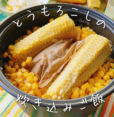 【送料無料】天然だしの素パック×２袋、毎日しあわせかつお純だし×１袋お試しセット