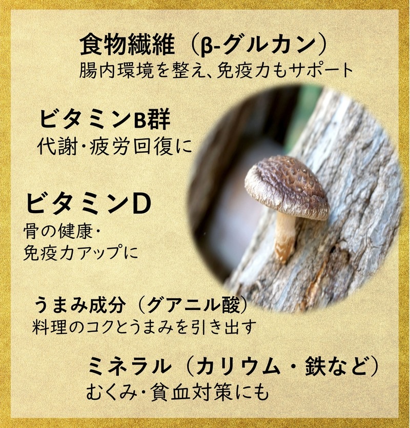 食物繊維入 しいたけ茶 3g×8本