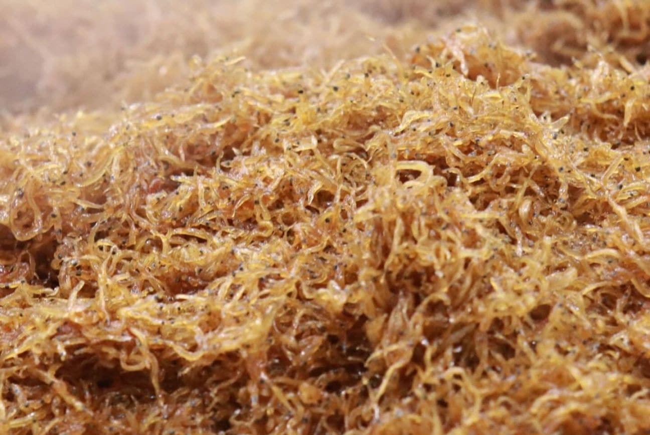 北海道日本海産　生たきしらす佃煮　50g