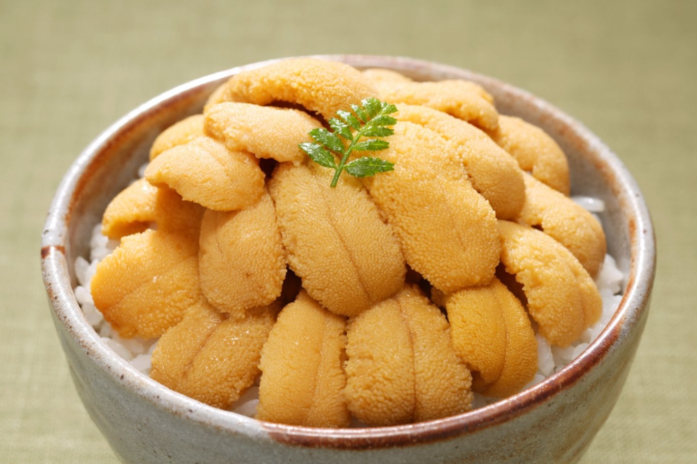 北海道産　　活きたむらさきうに（白）塩水パック　100ｇ×2パック