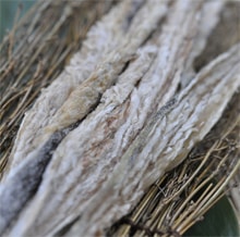 北海道近海産　　スケソウダラ　白干し140g