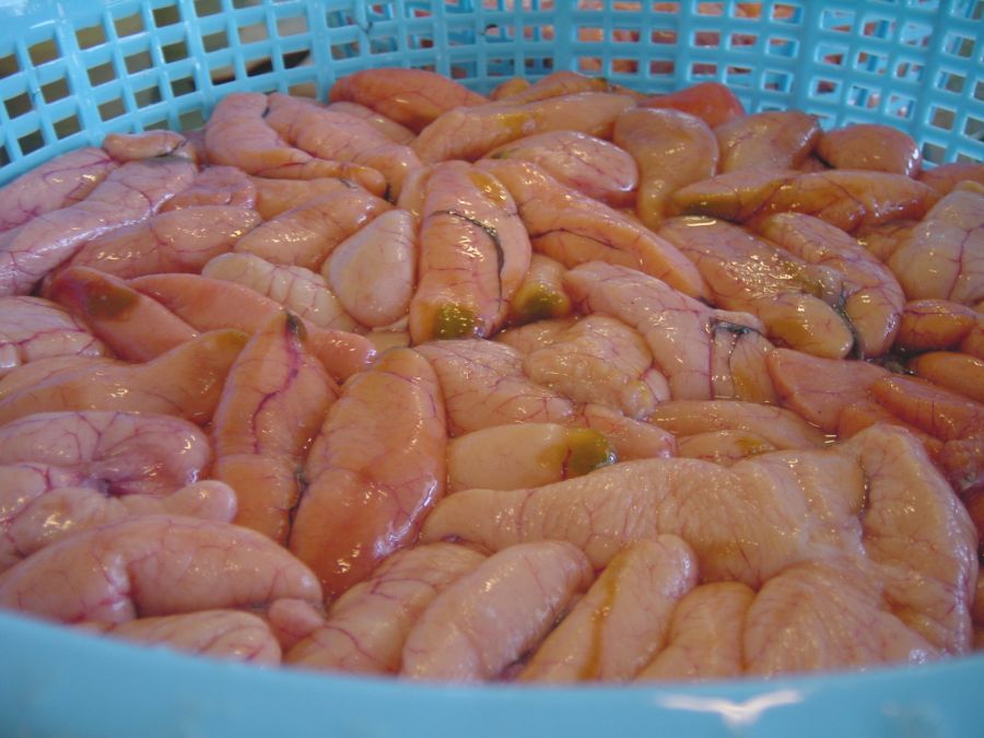 北海道近海産　無着色　たらこ　500g