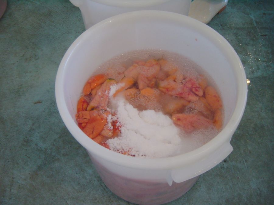 北海道近海産　無着色　たらこ　500g