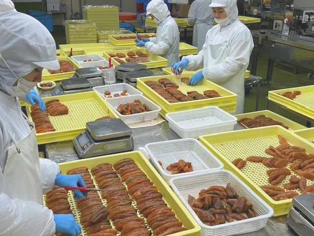 北海道近海産　無着色　たらこ　500g