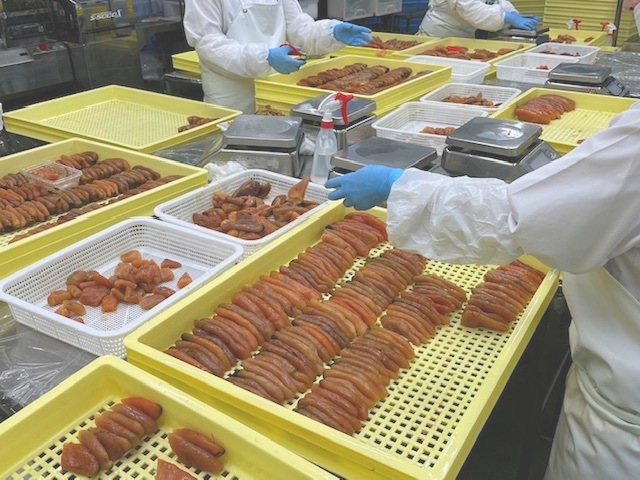 北海道近海産　無着色　たらこ　500g