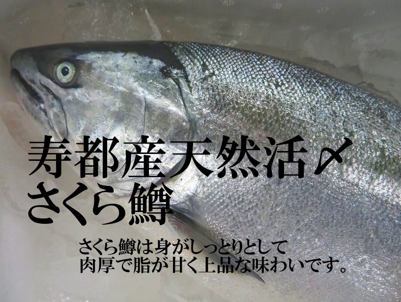 北海道産さくら鱒生フィーレ半身5特大(450g)