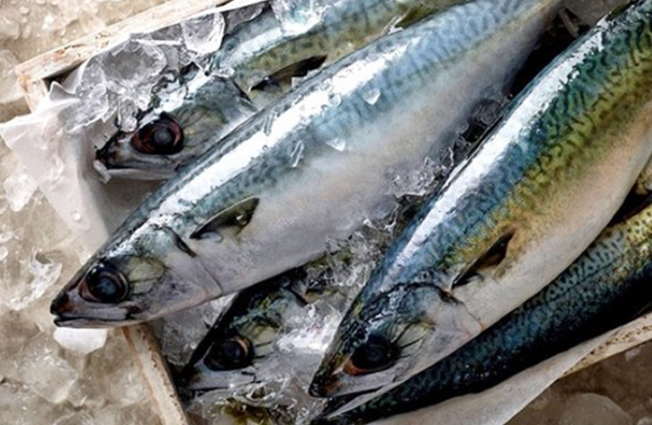 北海道産　真さば開き　４特大１枚