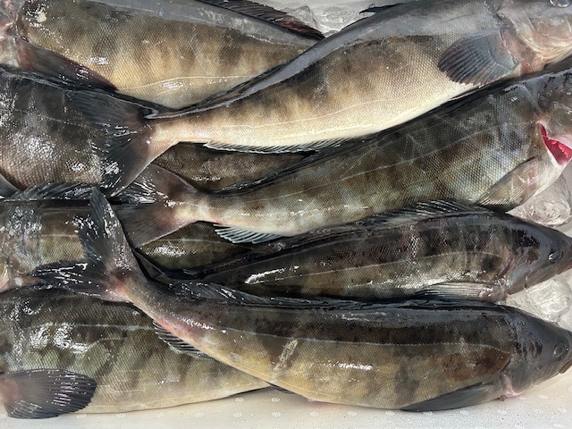 北海道産ほっけ生フィーレ２特大(300g)