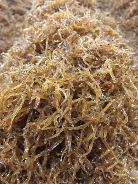 北海道寿都産 ・くるみ入り 生炊きしらす佃煮 320g(80gx4)