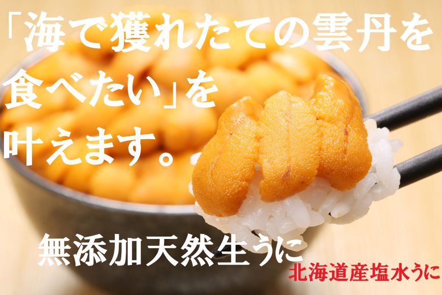 北海道産　活きたむらさきうに(白)　塩水うに　240g(80gx3)