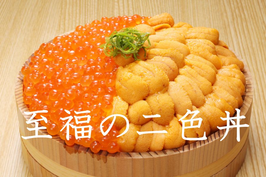 北海道産　活きたむらさきうに(白)　塩水うに　240g(80gx3)