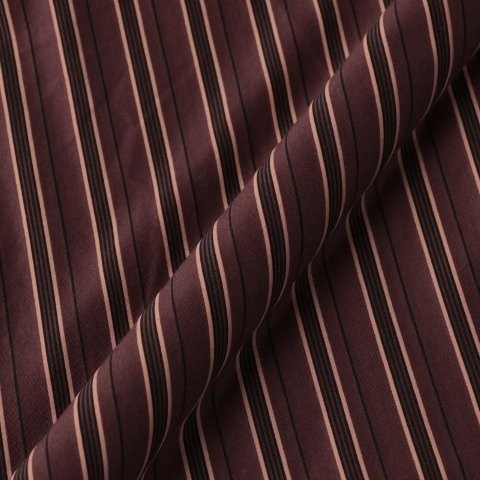 46G Modest Stripe Shirt