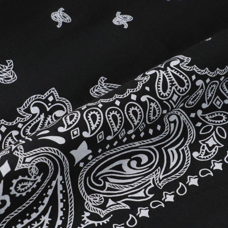 46G Atmosphere PHIL. Print L/S Shirt