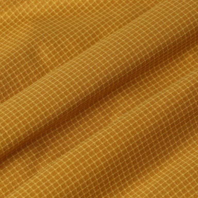 36G Check Balise Shirt