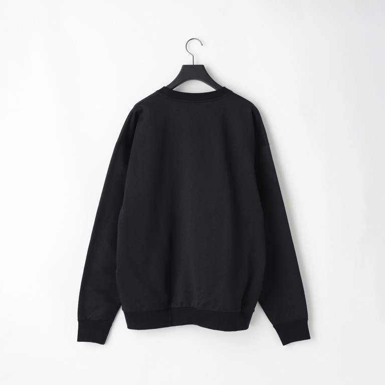 36G Glittery Pullover