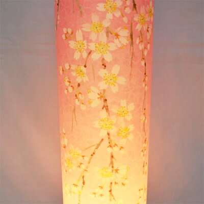 ��ƣ��Ź �Ϻ����� ������ 480�ں��� 2443 [��������] ������ Ƽʶ�ž� ����� ����ƥꥢ �롼����� ���� �Ϻ����� �������� �ܤ�ܤ� ����ƥꥢ���� ������ �ߤ��礦���� Made in Japan