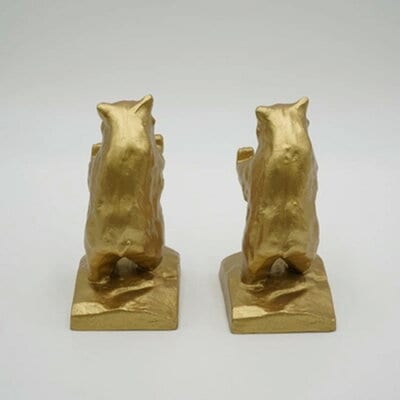 �ɥ����ȥåѡ��֥��ޡץ������󥹥ȥåѡ� ���ޥ��å� �֥å������ �������  �ⲬƼ�� ��ë��Ź  ��ʪ ��ʪ ��Ŵ������������